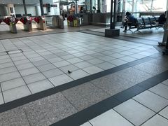 -文府路口(Taiwan High Speed Rail Zuoying Station)
