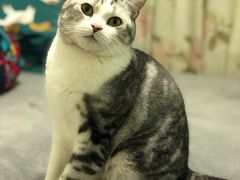 -平行世界·猫咖(首经贸店)