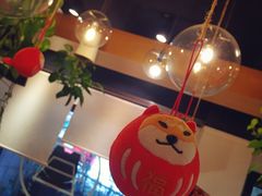 -柴务处·柴犬主题狗咖