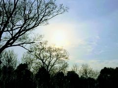 -自然谷恐龙园