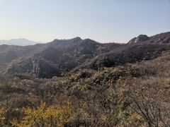 -大岭沟猕猴桃谷风景区