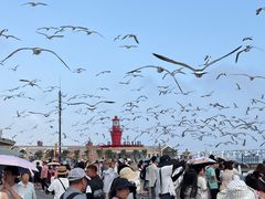 -星海广场