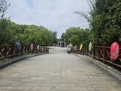-中国扬子鳄村