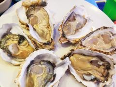 -千岛蚝高压锅生蚝·人参火锅(白云万达店)