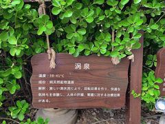 -仁爱团泊湖温泉中心