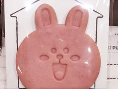 -line friends(明洞旗舰店)