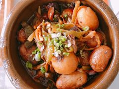 -食家鸽园