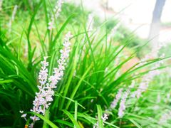 -春风十里咖啡馆