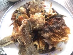 -漳河青花椒鱼头火锅