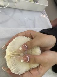 -IDO美甲美睫