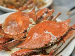 -红灯笼龙凤饭店(宁波老字号店)