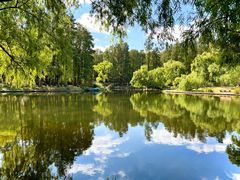 -上海共青森林公园