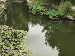 -三里河公园