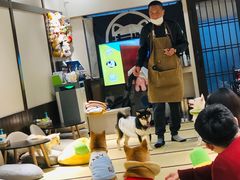-逗柴咖啡屋·狗咖猫咖宠物桌游