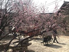 -清风小镇闯关东影视基地