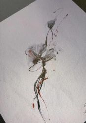 -龙之吻专业刺青·手工耳洞·纹身去色