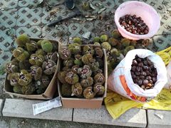 -红石寨旅游度假区