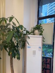 -妍理·植物养发