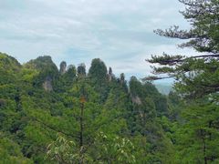 -光雾山旅游景区