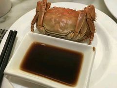 -城市名人酒店-喝彩西餐厅(名人城市广场店)