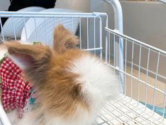 -怪兽屋·羊驼·猫咖·狗咖(俊华广场店)