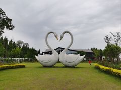 -东平国家森林公园