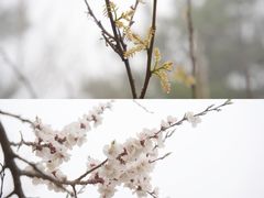 -八达岭长城