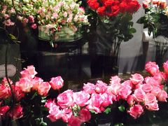 iphone_upload_pic-ROSEONLY诺誓(青岛万象城店)