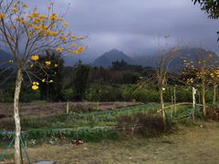 -竹语饭香·原生态农庄·烧鸡·竹筒饭·河鲜(森林海白水寨店)