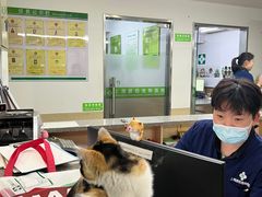 -爱侣宠医·鹦鹉专科·小型哺乳类·异宠专科(灵石路店)