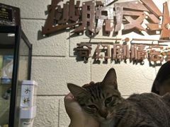 -逃脱反斗城沉浸剧情密室(北京路店)