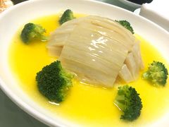-丁老爷子苏香圆