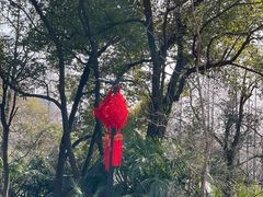 -北极阁公园