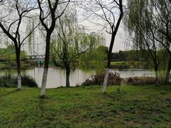 -九里河湿地公园