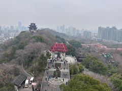 -武汉知音号