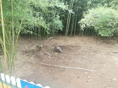 -竹泉村旅游度假区