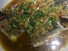 开化清水鱼-老馆子·建德菜·山肴鱼鲜(海威新界店)