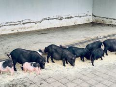 -长春农业博览园