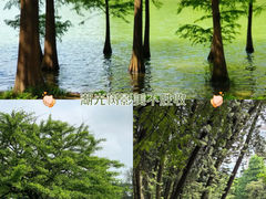 -中国科学院华南植物园