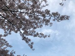 -三好坞景观餐厅