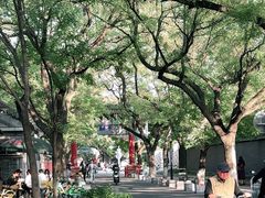 -北京国子监胡同