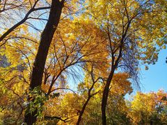 -元大都城垣遗址公园