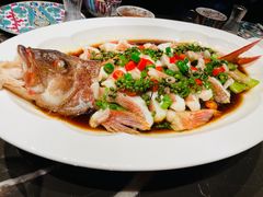 -海派悦庭·海胆烧麦·新融合菜(凯德广场店)