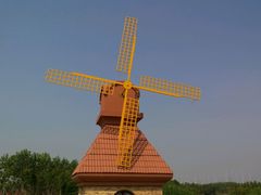 -杭州湾海上花田景区