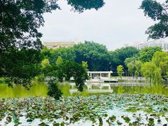 -人民公园(罗湖区)