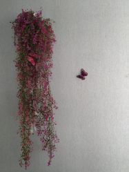 -玲珑秀身坊