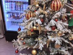 -健身专家Wellness Experts