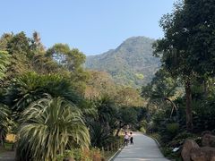 -深圳仙湖植物园
