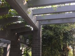 -菊花台公园
