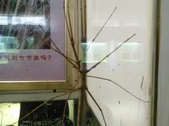 -上海昆虫博物馆